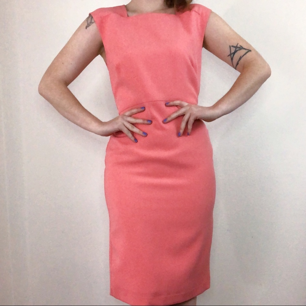 NWT Peachy Banana Republic Sheath Dress Size 6P